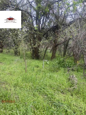 ������� ������ | Imot.bg � ����� ������ 2