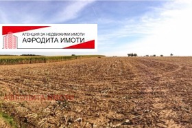 Продажба на земеделски земи в област Стара Загора - изображение 4 
