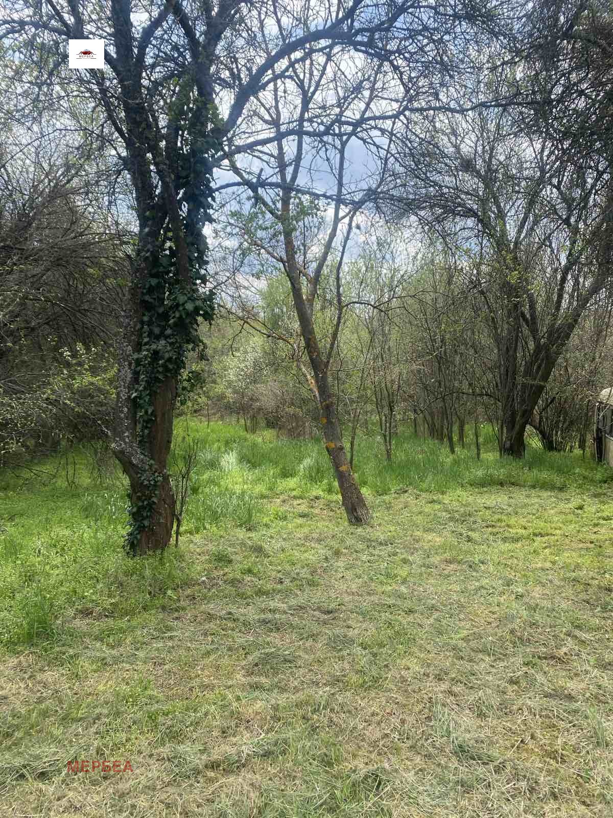 Продава ПАРЦЕЛ, с. Режанци, област Перник, снимка 3 - Парцели - 54516985