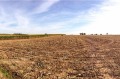 Продава ЗЕМЕДЕЛСКА ЗЕМЯ, с. Остра могила, област Стара Загора, снимка 1 - Земеделска земя - 43035413