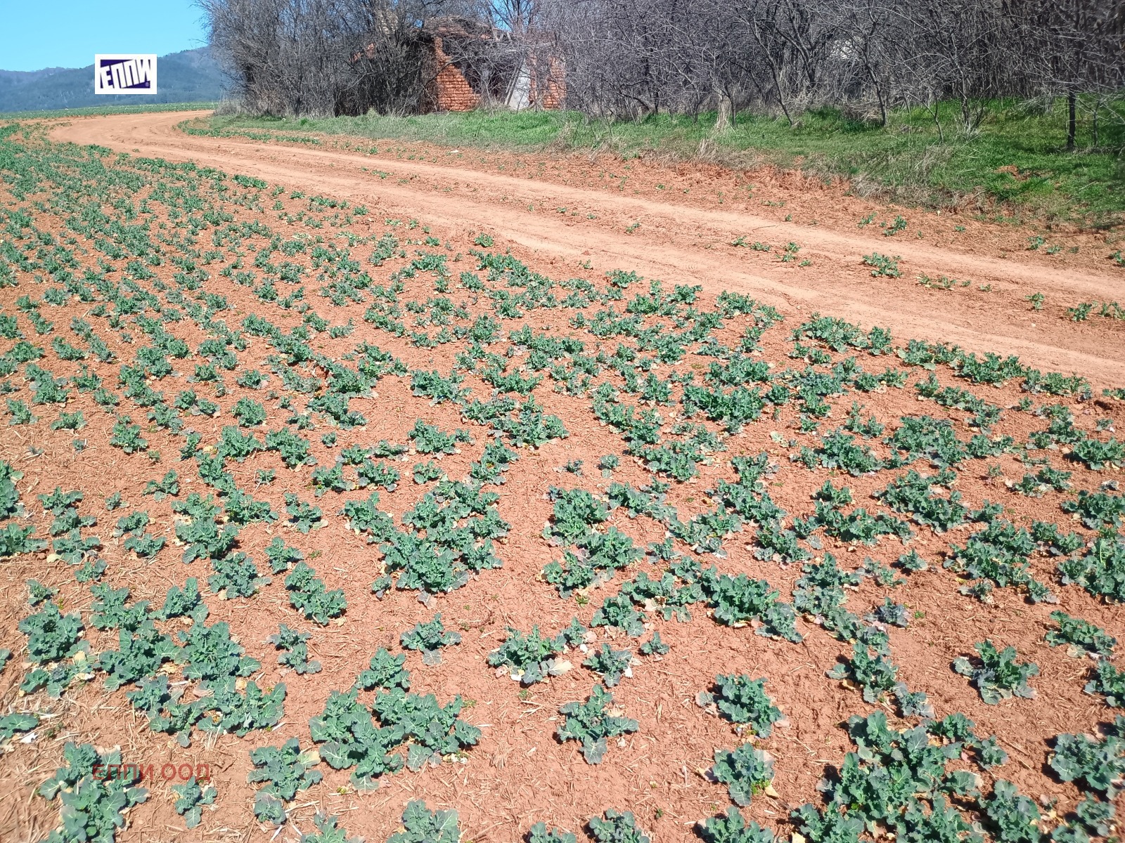 ������� ������ | Imot.bg � ����������� 3