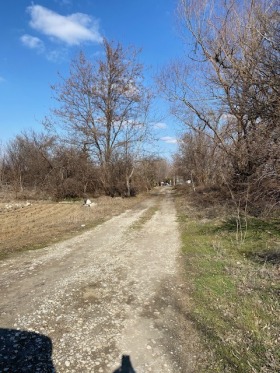 Парцел с. Браниполе, област Пловдив 2