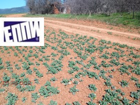 ������� ������ | Imot.bg � ����� ������ 3