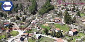 ����� ������� ������,�. ����� �������, ������ �����