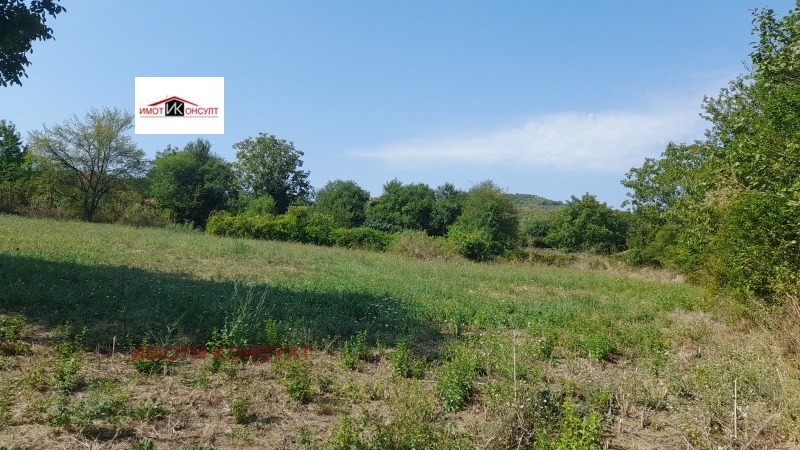 Продава  Парцел област Велико Търново , с. Драгижево , 1300 кв.м | 32530371 - изображение [3]