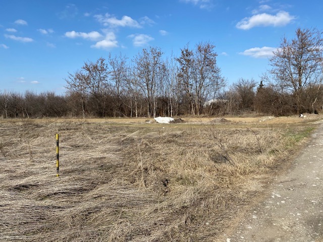 Zu verkaufen  Handlung region Plowdiw , Branipole , 2900 qm | 21030892 - Bild [5]