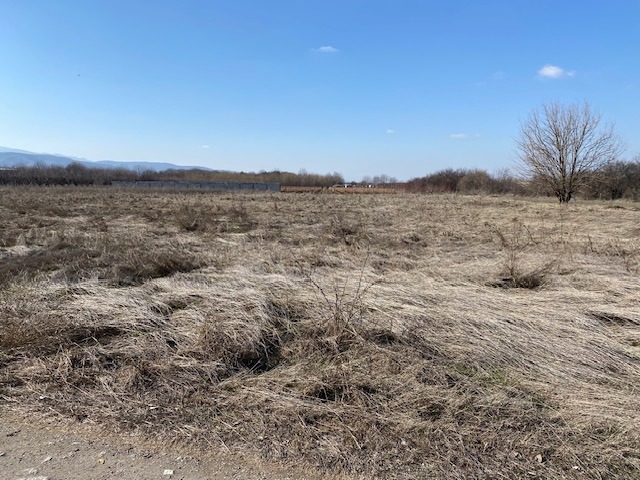 Zu verkaufen  Handlung region Plowdiw , Branipole , 2900 qm | 21030892 - Bild [4]