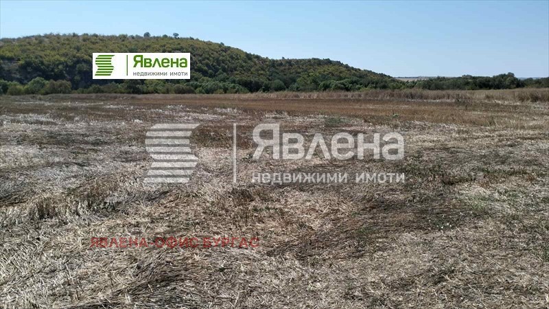 Zu verkaufen  Handlung region Burgas , Medowo , 18100 qm | 10691497 - Bild [3]