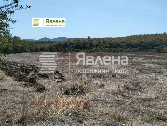 Zu verkaufen  Handlung region Burgas , Medowo , 18100 qm | 10691497 - Bild [2]