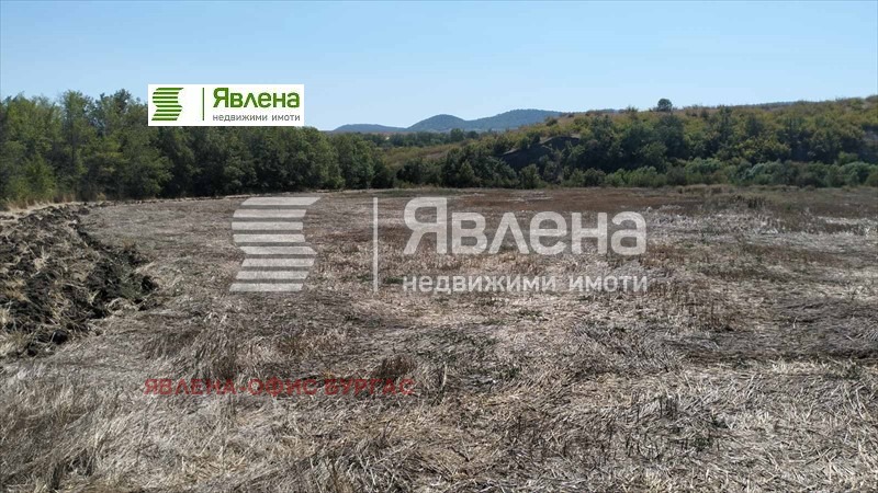 Zu verkaufen  Handlung region Burgas , Medowo , 18100 qm | 10691497 - Bild [4]