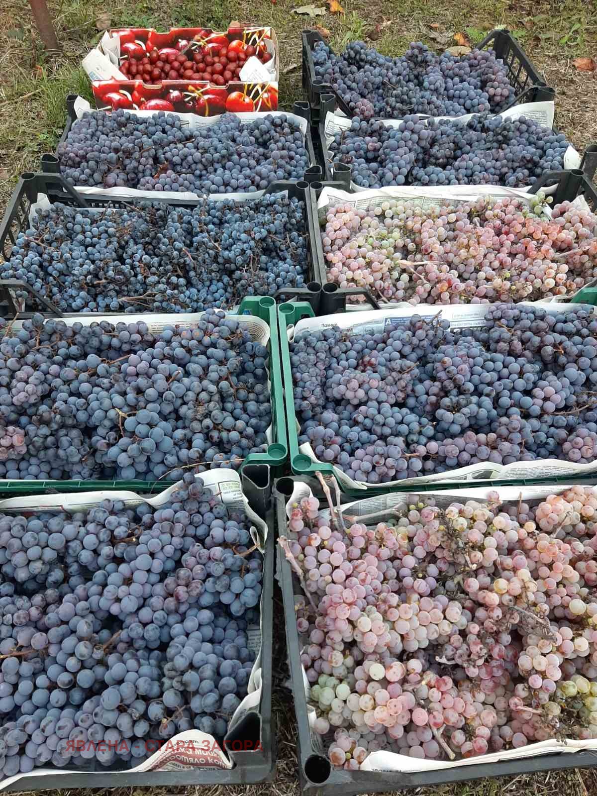 Продава КЪЩА | Imot.bg — изображение 3