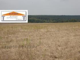 Продажба на земеделски земи в област Варна - изображение 3 