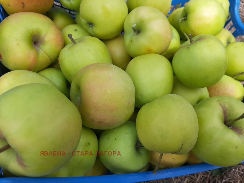 Продава КЪЩА, с. Яздач, област Стара Загора, снимка 16 - Къщи - 52124951