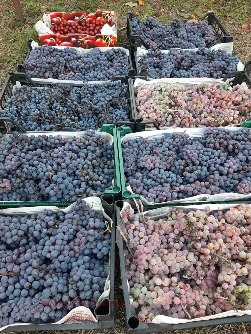 Продава КЪЩА, с. Яздач, област Стара Загора, снимка 2 - Къщи - 52124951