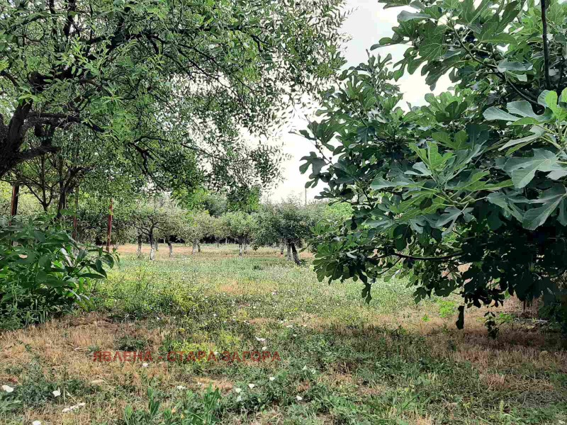 Продава КЪЩА, с. Яздач, област Стара Загора, снимка 14 - Къщи - 52124951