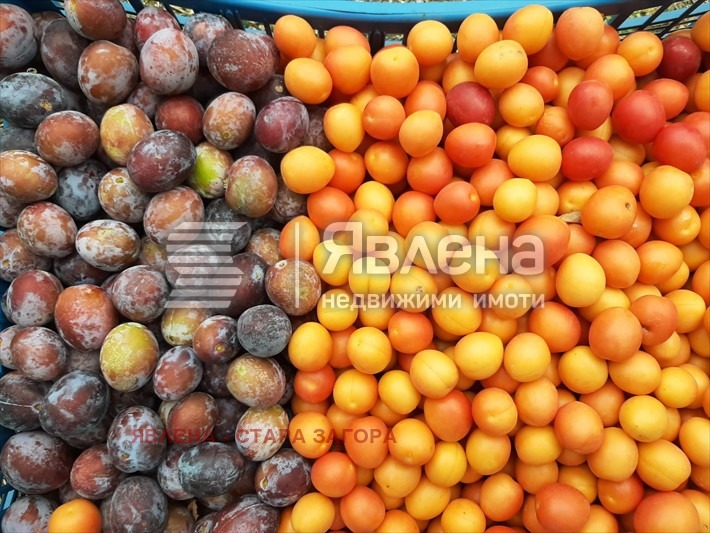 Продава КЪЩА, с. Яздач, област Стара Загора, снимка 12 - Къщи - 52124951