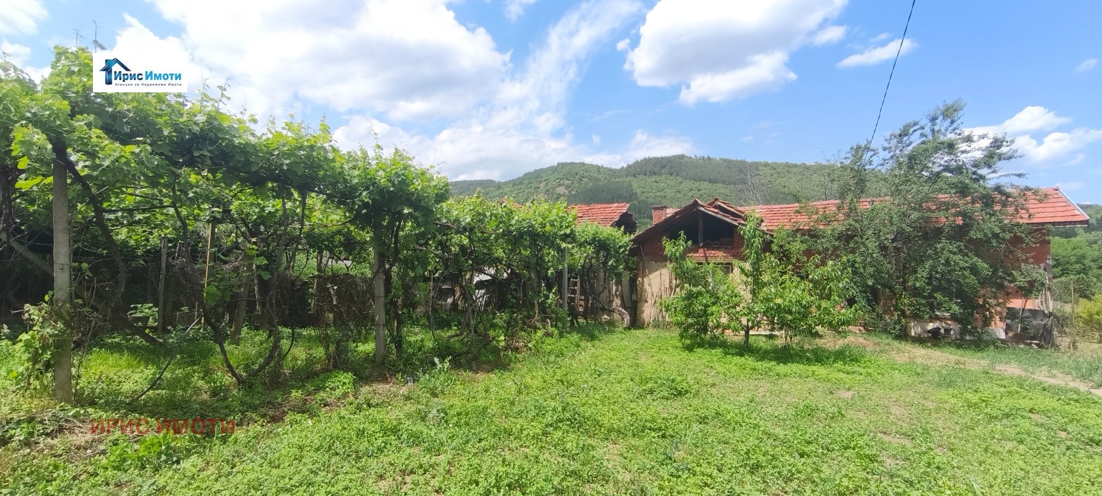 Продава КЪЩА, с. Драговищица, област Кюстендил, снимка 7 - Къщи - 54690545