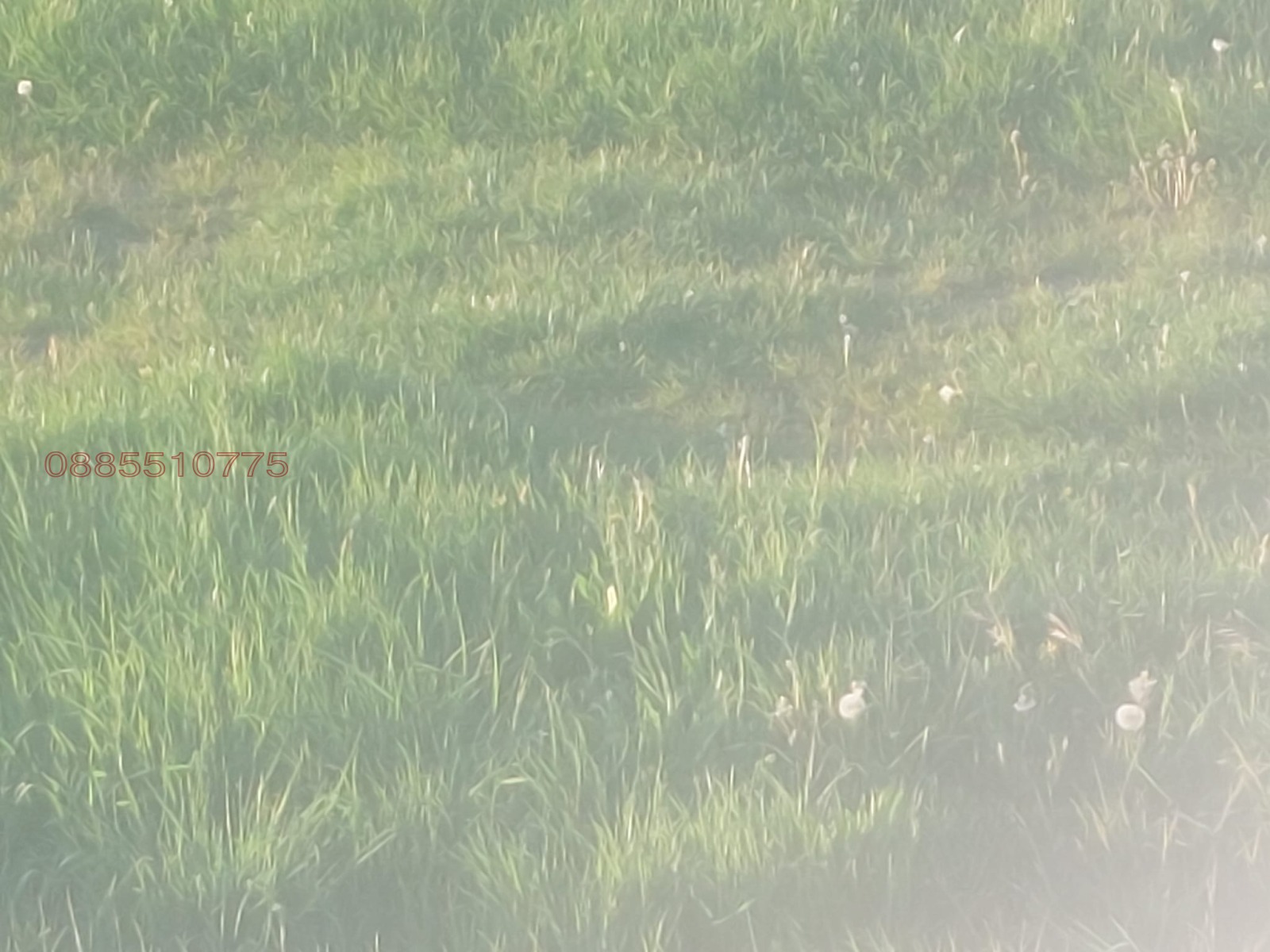 Продава ПАРЦЕЛ, с. Ряхово, област Русе