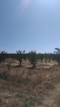Продава ЗЕМЕДЕЛСКА ЗЕМЯ, с. Соволяно, област Кюстендил, снимка 4