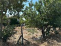 Продава ПАРЦЕЛ, град Варна, м-т Добрева чешма • 88500 € • 72568890 — Holmes.bg