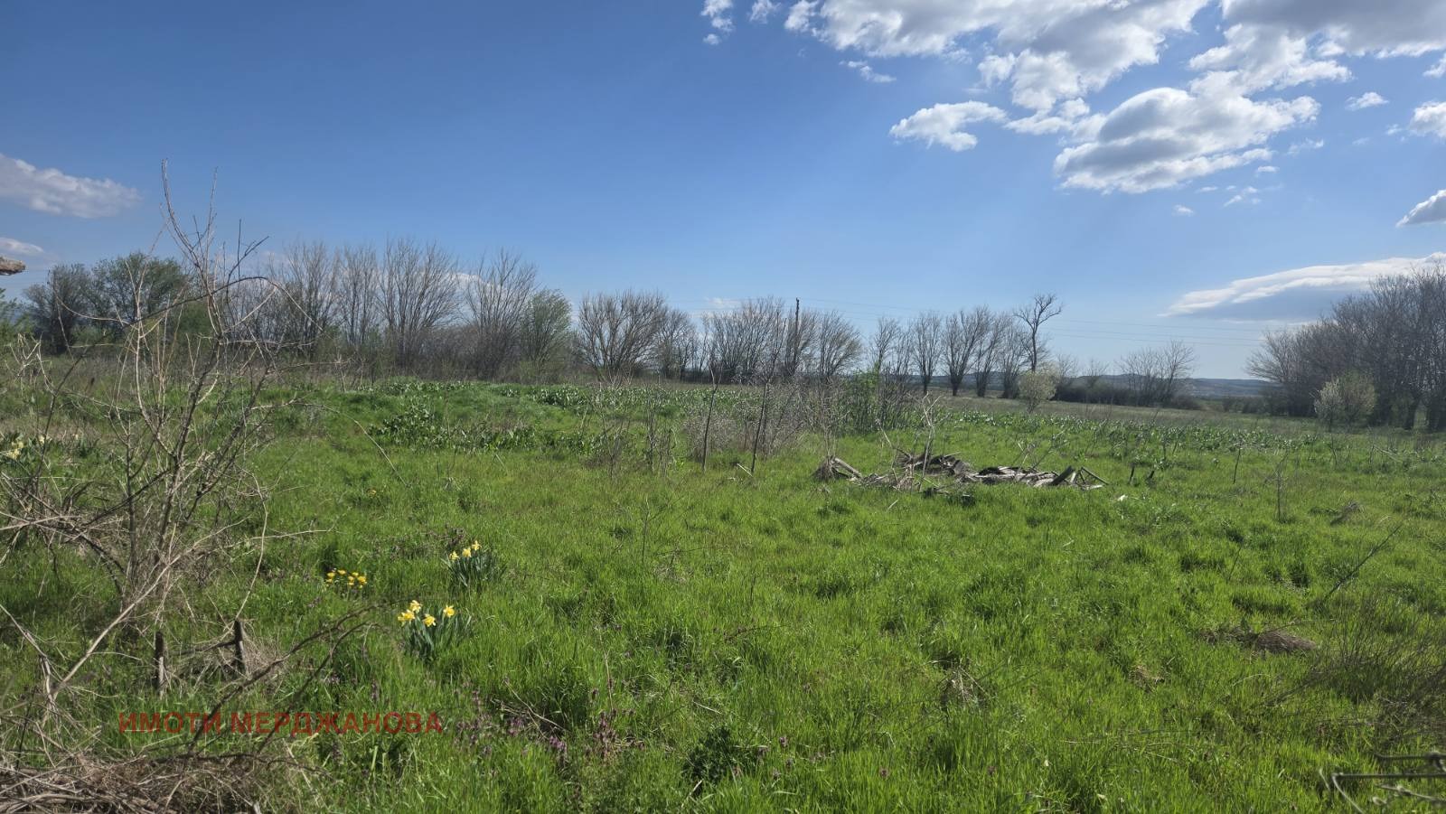 ������� ������ | Imot.bg � ����������� 5