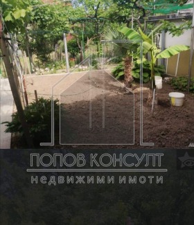 Hus Belashtitsa, region Plovdiv