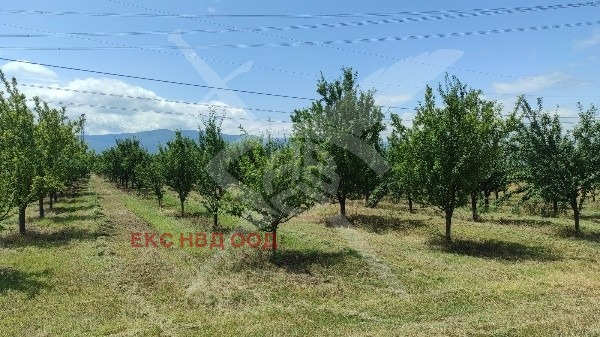 Продава ПАРЦЕЛ, с. Крумово, област Пловдив