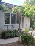 Продава КЪЩА, с. Белащица, област Пловдив, снимка 9 - Къщи - 42022576