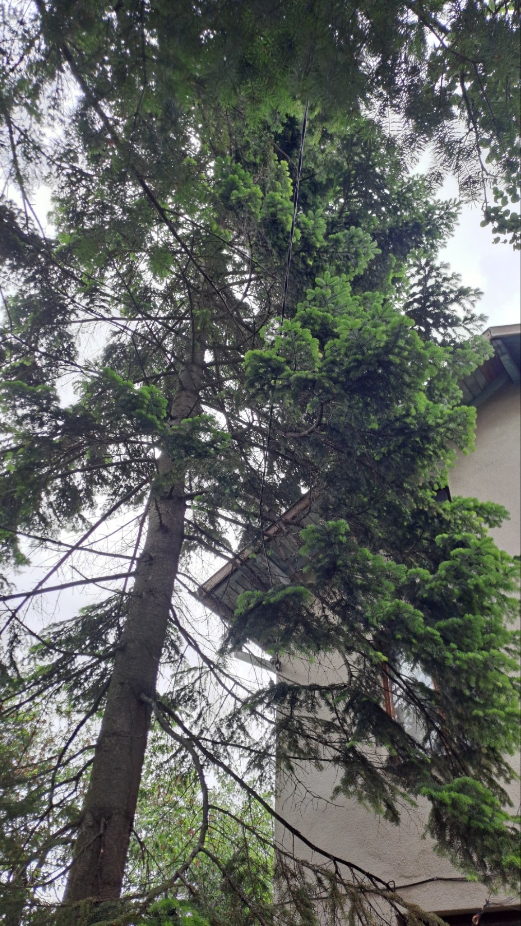 ������� ���� | Imot.bg � ����������� 7