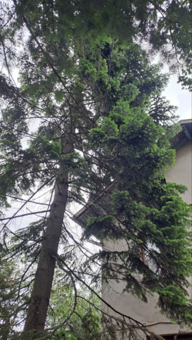 ������� ���� | Imot.bg � ����� ������ 7