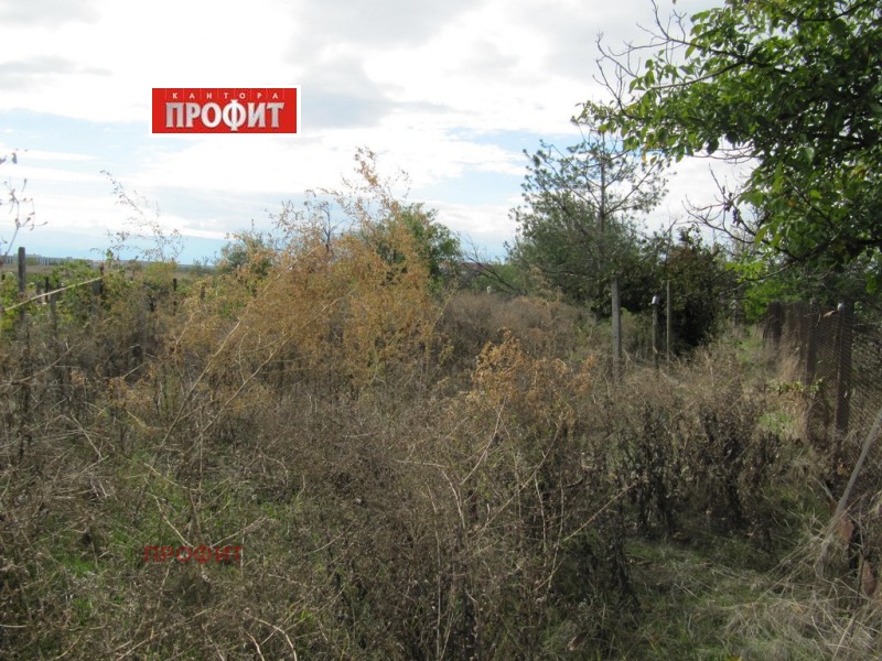 Продава КЪЩА, с. Бенковски, област Пловдив, снимка 14 - Къщи - 52147154