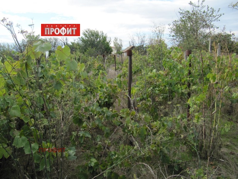 Продава КЪЩА, с. Бенковски, област Пловдив, снимка 13 - Къщи - 52147154