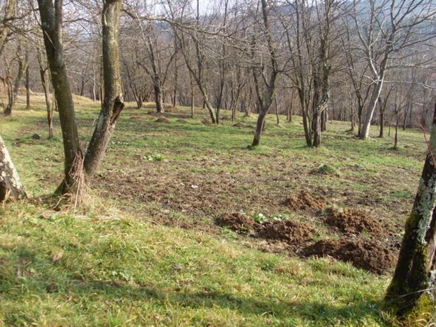 Προς πώληση  Οικόπεδο περιοχή Lovech , Απρηλτση , 1033 τ.μ | 27853876 - εικόνα [4]