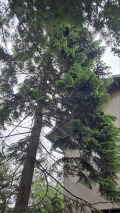 Продава КЪЩА, гр. София, в.з.Малинова долина, снимка 7