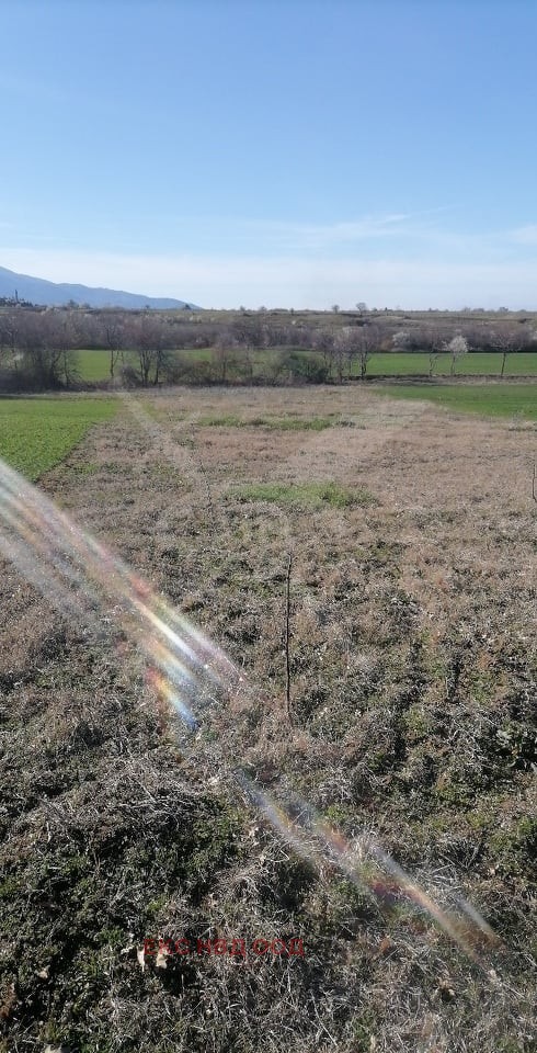 Продава ЗЕМЕДЕЛСКА ЗЕМЯ | Imot.bg — изображение 2