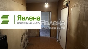 ����� ������� 2-�����,���� �����, �������� 1