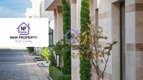 ������ ������� ����