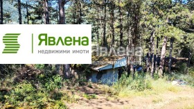 ����� ������� ������,�. ����� �������, ������ �����