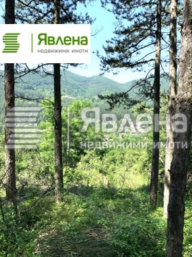 ������� ������ | Imot.bg � ����� ������ 2