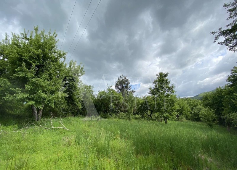 Zu verkaufen  Handlung region Sofia , Razliw , 1148 qm | 30551812 - Bild [6]