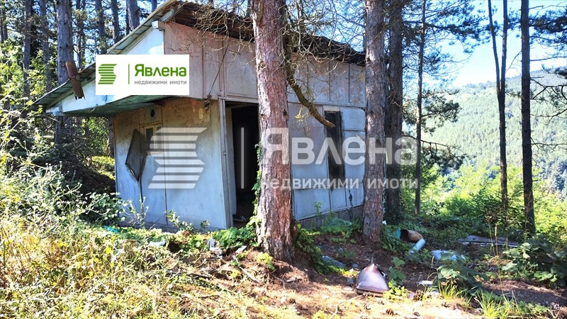 Продава ПАРЦЕЛ, с. Владо Тричков, област София област, снимка 4 - Парцели - 54285917