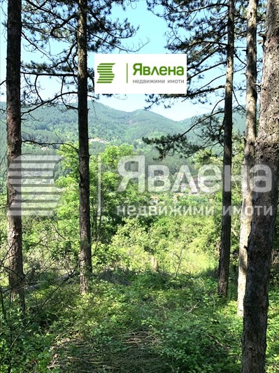 Продава ПАРЦЕЛ, с. Владо Тричков, област София област, снимка 2 - Парцели - 54285917