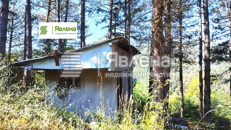 Продава ПАРЦЕЛ, с. Владо Тричков, област София област, снимка 3 - Парцели - 54285917