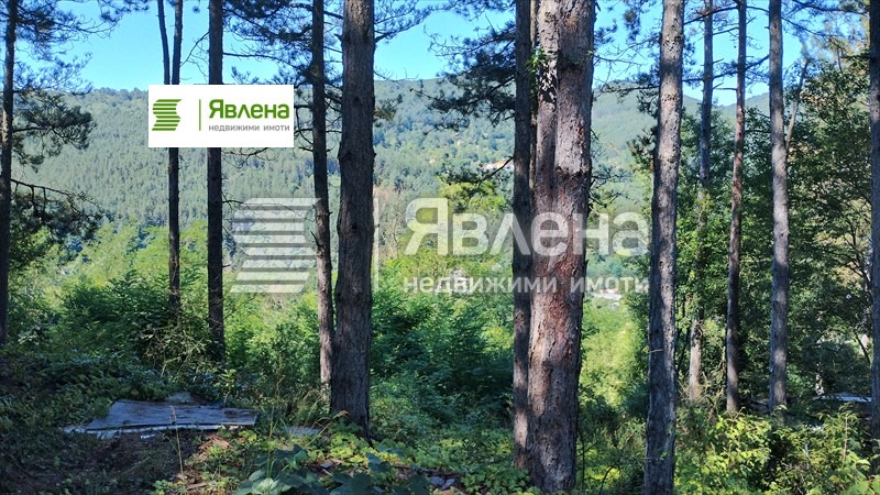 Продава ПАРЦЕЛ, с. Владо Тричков, област София област, снимка 8 - Парцели - 54285917
