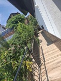 Продава КЪЩА, област Русе, с. Николово • 165000 € • 28635607 — Holmes.bg