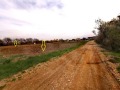 Продава ПАРЦЕЛ, област София, гр. Костинброд • 478320 € • 71892573 11