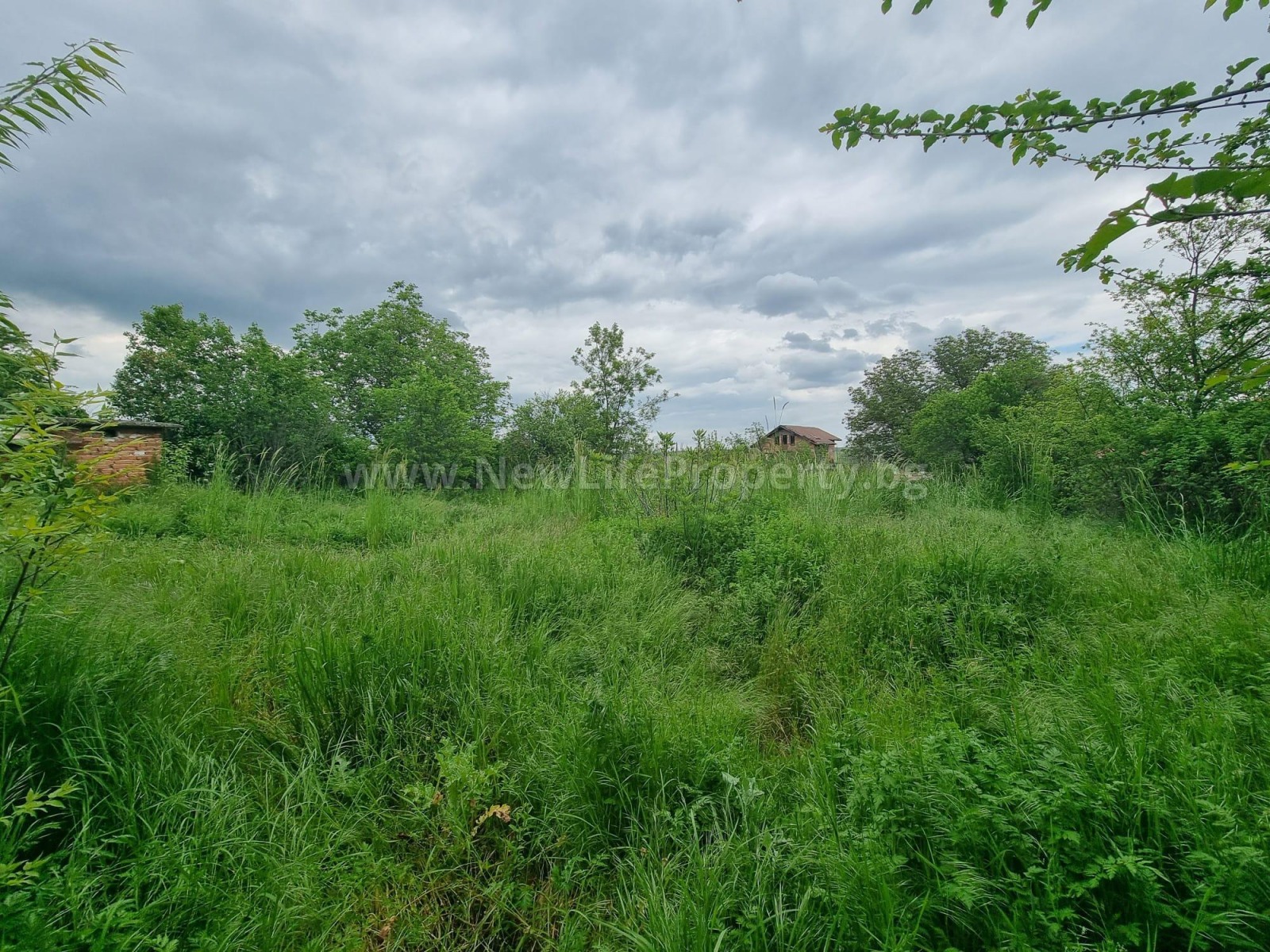 ������� ���� | Imot.bg � ����������� 17