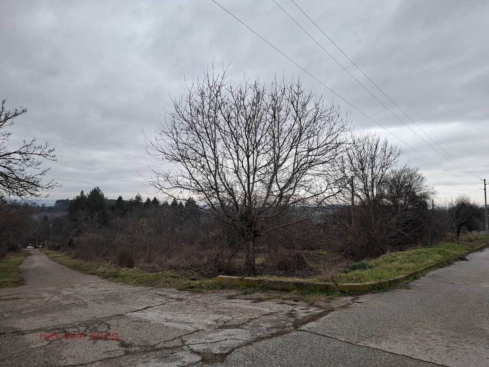 ������� ������ | Imot.bg � ����������� 2