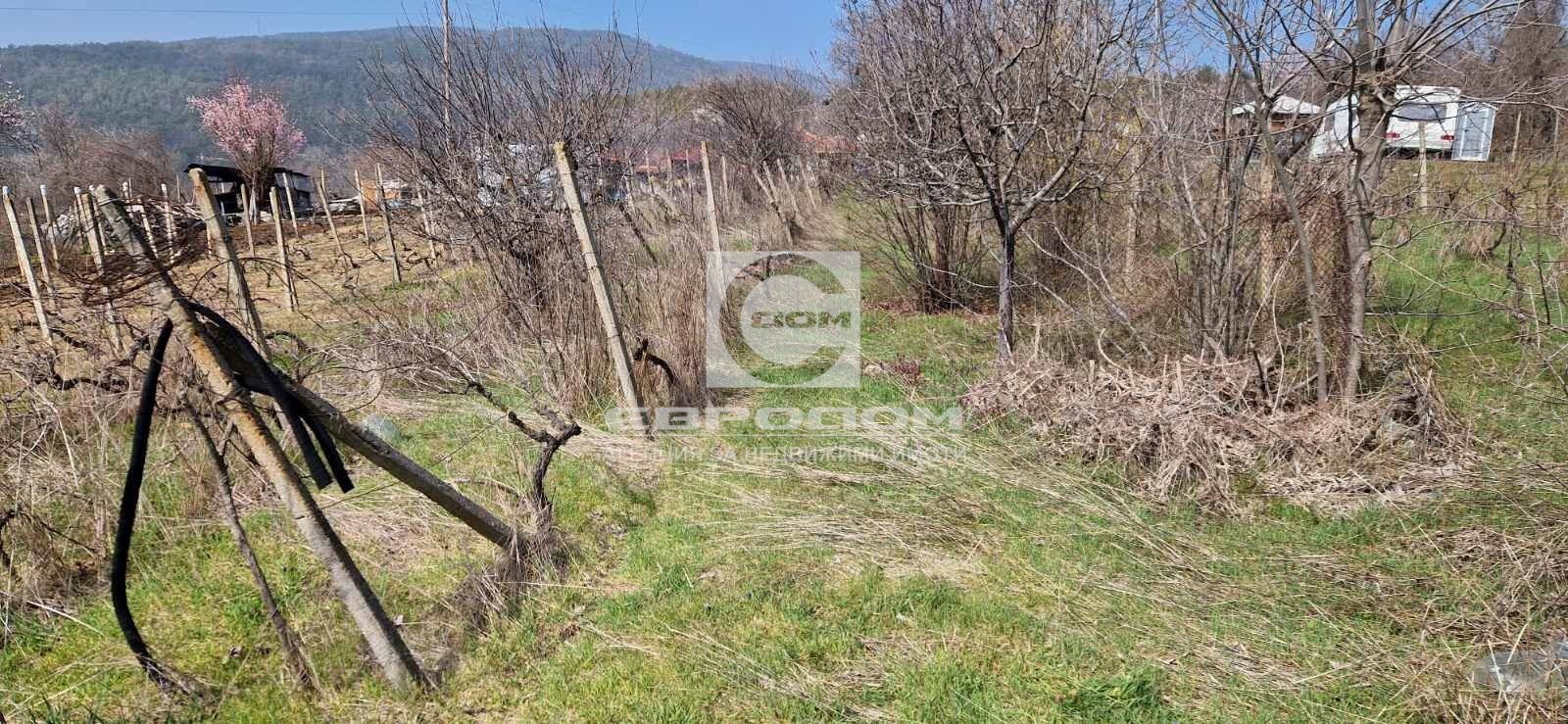 ������� ������ | Imot.bg � ����������� 2