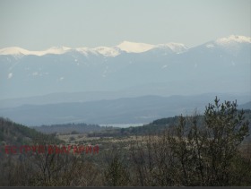 ����� ������� ������,���� �����, �.�.����� - �����